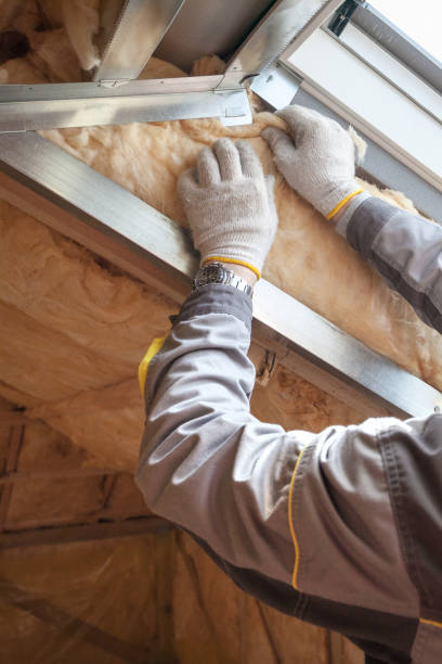 Best Garage Insulation Installation  in Gilbert, MN